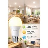(60W) LED Ampul E27 4000K Gün Işığı Yüksek Enerji Tasarruflu Lamba - Altın