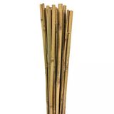 63712 Bambu Destek Çubuğu 10'Lu - 8-10 Mm X 90 Cm