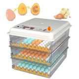 64/120/176 Yumurta Kuluçka Makinesi, Sıcaklık Ve Nem Göstergesi, Otomatik Yumurta çevirme, Yumurta Test Cihazı, Tavuk Yumurtalarını Kuluçkaya Yatırabilir, ördek Yumurtaları,176