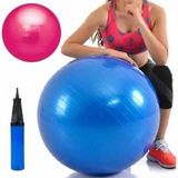 65 Cm Pilates Topu Pompa Ve 20 Cm Denge Top Mavi