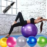 65 CM Pilates Topu ve Pompa Seti Pilates Denge Yoga Spor Mavi