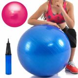65cm Pilates Topu Pompa Hediyeli Asorti Fitness Pilates Spor