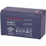 6Fm-7 12V 7Ah Kuru Tip Akü