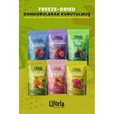 6’lı Dondurulmuş Meyve - Sağlıklı Atıştırmalık - Çilek Incir Frambuaz Mango Portakal Berry Mix - 120 gr