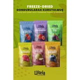 6’lı Dondurulmuş Meyve - Sağlıklı Atıştırmalık - Çilek Kavun Frambuaz Berry Mix Incir Yaban Mersini - 120 gr