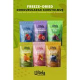6’lı Dondurulmuş Meyve - Sağlıklı Atıştırmalık - Çilek Mango Incir Yaban Mersini Berry Mix Portakal - 120 gr