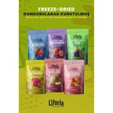 6’lı Dondurulmuş Meyve - Sağlıklı Atıştırmalık - Mango Berry Mix Incir Kavun Çilek Frambuaz - 120 gr