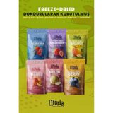 6’lı Dondurulmuş Meyve - Sağlıklı Atıştırmalık - Mango Berry Mix Portakal Yaban Mersini Çilek Kavun