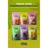 6’lı Dondurulmuş Meyve - Sağlıklı Atıştırmalık - Mango Incir Kavun Portakal Frambuaz Böğürtlen - 120 gr
