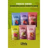 6’lı Dondurulmuş Meyve - Sağlıklı Atıştırmalık - Vişne Kavun Mango Çilek Berry Mix Frambuaz