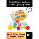 6'lı Geometrik Yumurta Eşleme Oyunu Motor Gelişim Görsel Algı Şekilli Eğitici Öğretici Oyuncak