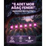 6’lı Mor Ağaç Feneri IP65 Su Geçirmez E27 Bahçe Aydınlatma Seti 220V Dekoratif Sarkıt Fener OEM-51416-6