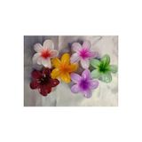 6'lı Rengarenk Lotus Çiçeği Mandal Toka 8 Cm