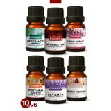 6'Lı Set 1 Esansiyel Uçucu Yağ Buhurdanlık Yağı Hava Nemlendirici Aroma Difüzörü Kokusu Esans 10Ml Set1
