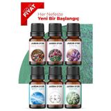 6'lı Set Esansiyel Uçucu Yağ Buhurdanlık Yağı Hava Nemlendirici Aroma Difüzörü Kokusu Esans