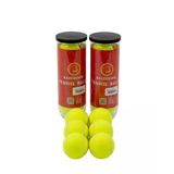 6'Li Tenis Topu