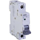 6VTB-1B40 Otomatik Sigorta 6ka B Tipi 1 Kutup 40A