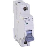 6VTB-1C06 Otomatik Sigorta 6ka C Tipi 1 Kutup 06A