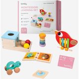 7-12 Aylık Bebek Montessori Oyuncak Seti, Ksilofon ve Kaplumbağa Araba