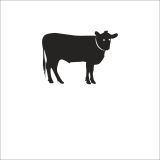 70 cm İnek Folyo Sticker