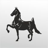 70 cm Kral Folyo Sticker