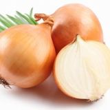 70+ Tatlı İspanyol Sarı Soğan Tohumu N11.5044