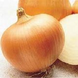 70+ Tatlı İspanyol Sarı Soğan Tohumu N11.5045
