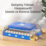 70 Yumurta Kapasiteli Tam Otomatik Kuluçka Makinesi – Nem Kontrollü, Kaz Uyumlu, Dijital Sistem
