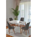 70X110 cm Mutfak Masası Takımı | 4 Kişilik Sabit Masa Sandalye Takımı | Beyaz Masa - Antrasit
