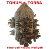 750 Adet İstiridye Kavak Mantarı Tohumu (HOBİ VE HEDİYE AMAÇLI)