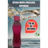 750 ml Su Matarası Eve, Okula, Spora, Iş Yerine Uygun & Su Şişesi & Suluk - Bordo - Belirtilmemiş - Renkli