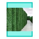 7iklim 100cm X 7M Çim Çit - Çimli Bahçe Çiti