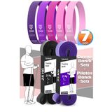 7li MEGA SET 25+35 KG + 5Li Pilates Direnç Bandı Barfiks Lastiği Loop Band Pembe Ton