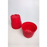8.5 cm Kaktüs Sukulent Saksısı 5 Adet Kırmızı Tekpar Plastik Üretim Saksısı Bol Drenaj Deliği