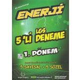 8. Sınıf Enerji LGS 1. Dönem 5 Deneme Palme Yayınları