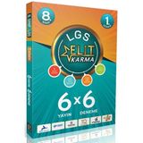 8.Sınıf Lgs Elit Karma 6X6 Deneme