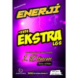 8. Sınıf Lgs Enerji İlk Yarı 1.Dönem Evde Ekstra Soru Kitabı-Palme Yayınları