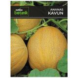 80 Adet Yerli Ata Ananas Kavun Tohumu