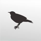 80 cm Bülbül Folyo Sticker