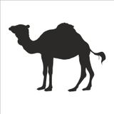 80 cm Deve Folyo Sticker