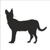 80 cm Vaşak Folyo Sticker