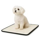 80x45 cm Ortopedik Küçük Köpek Yatağı | Yumuşak Peluş, Kaymaz Taban, Yıkanabilir, Destekleyici Süngerli Minder – Evcil Hayvan Konfor Yatağı