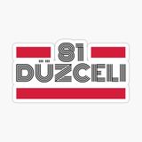 81 Düzceli Plaka Araba Sticker Yapıştırması