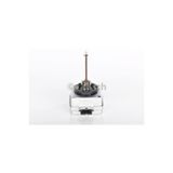 84010 Xenon Eco Ampul D1s 4300k