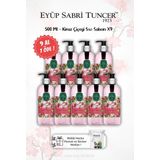 9 AL 7 ÖDE Japon Kiraz Çiçeği 500 Ml Sıvı Sabun ve ROSIE Hediyeli