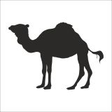 90 cm Deve Folyo Sticker