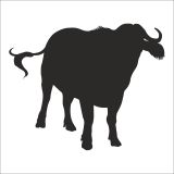 90 cm Manda Folyo Sticker