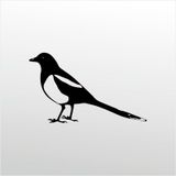 90 cm Muhabbet Kuşu Folyo Sticker
