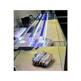 90Cm Renkli Led Akvaryum Aydınlatma Beyaz-Kırmızı-Mavi