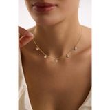 925 Ayar Gümüş Gold Kaplama Beyaz Taşlı Minimal Çiçek Şans Kolye